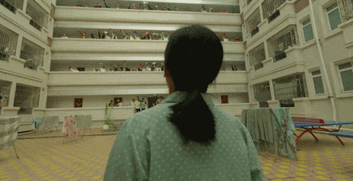 1696827439164466.gif 640.gif